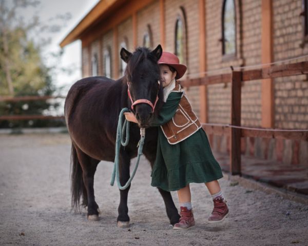 Что такое Natural Horsemanship?